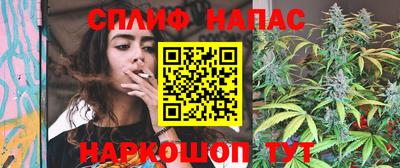 PSILOCYBIN Заволжье