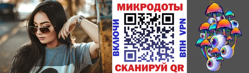 блэк спрут маркетплейс  Славгород  Псилоцибиновые грибы Psilocybine cubensis 