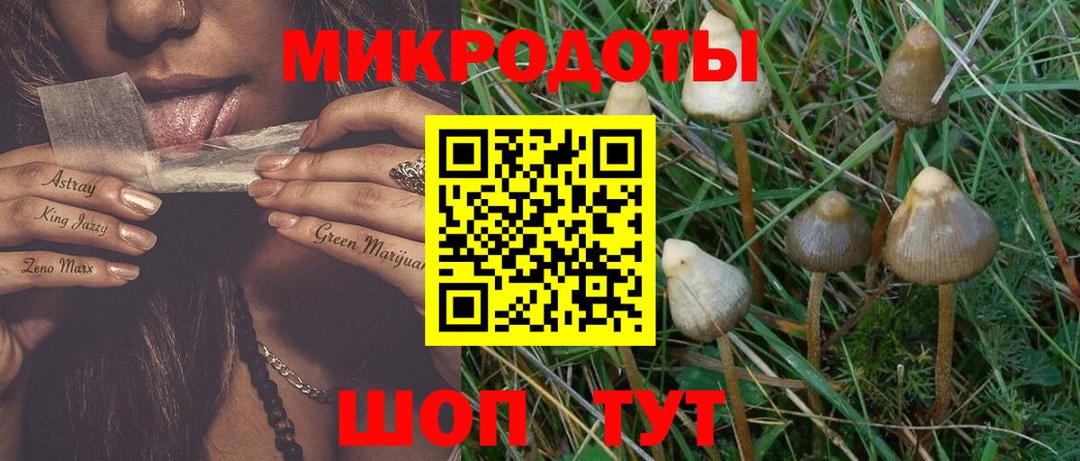 Галлюциногенные грибы GOLDEN TEACHER  Вход с VPN  Славгород 